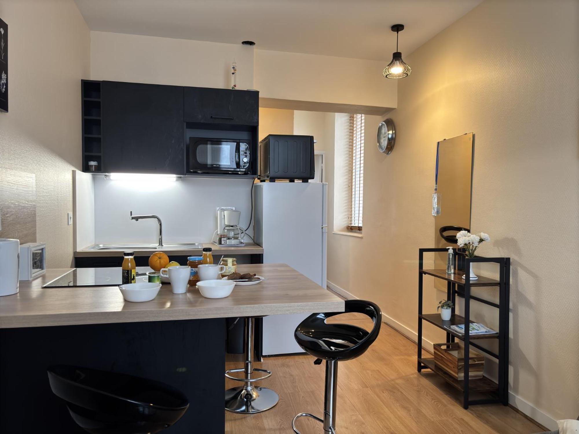 Le Puy De Dome - 1 Chambre - Clim Châtel-Guyon Eksteriør bilde