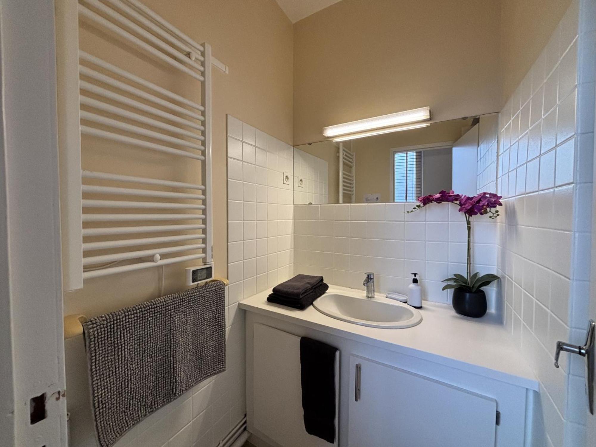 Le Puy De Dome - 1 Chambre - Clim Châtel-Guyon Eksteriør bilde