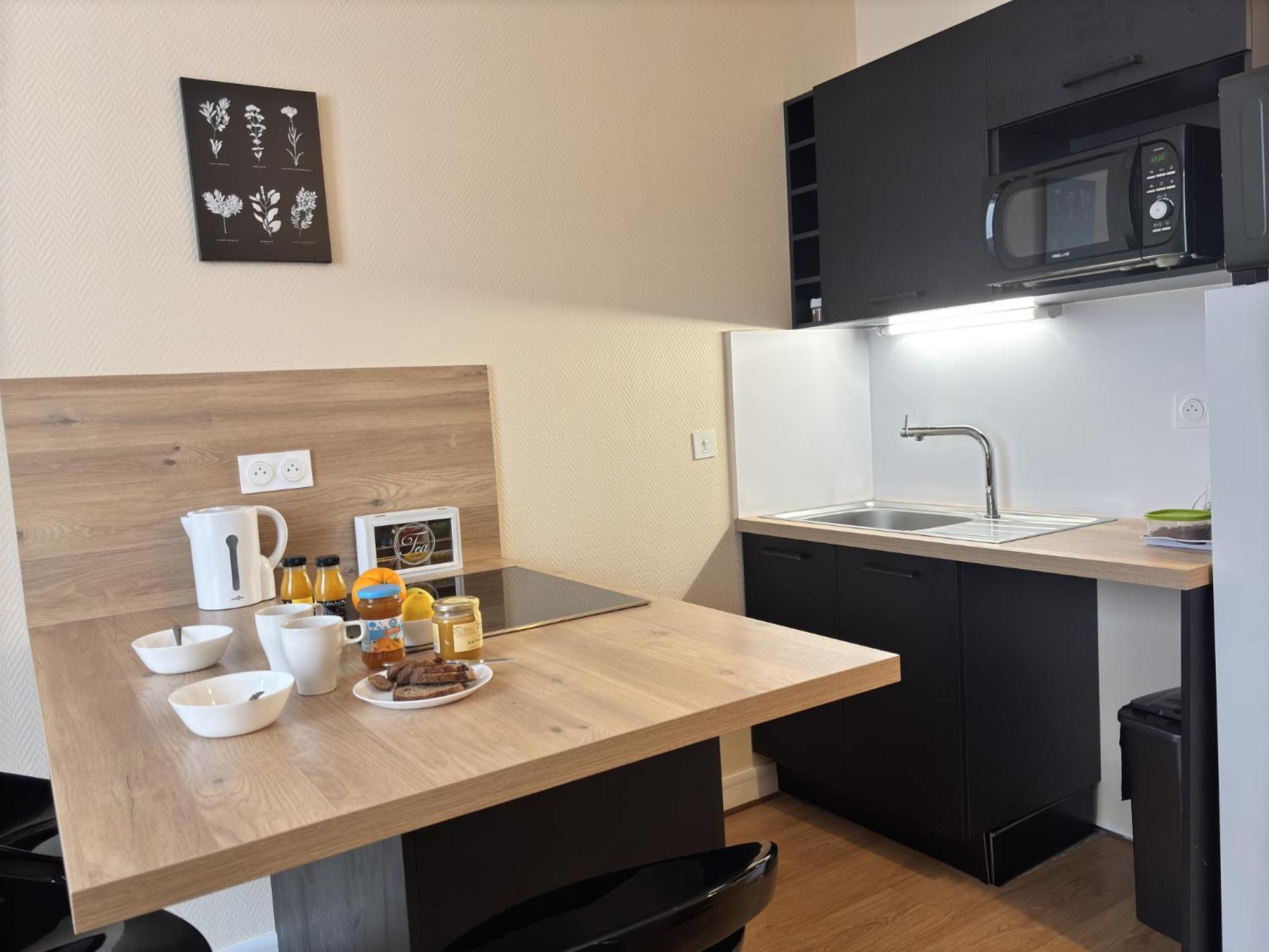 Le Puy De Dome - 1 Chambre - Clim Châtel-Guyon Eksteriør bilde